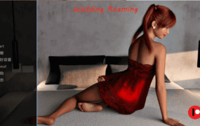 【欧美SLG/汉化/动态】婚礼漫游v0.7 AI版【PC+安卓/797M/更新】